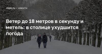 Ветер до 18 метров в секунду и метель: в столице ухудшится погода - mos.ru - Москва