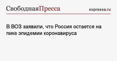 Мелита Вуйнович - В ВОЗ заявили, что Россия остается на пике эпидемии коронавируса - svpressa.ru - Россия