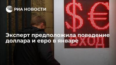 Экономист Комарова спрогнозировала высокую волатильность доллара и евро в январе - smartmoney.one - США