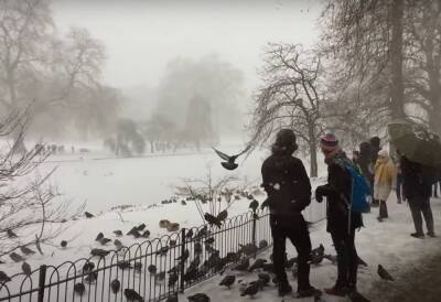 Вслед за мокрым снегом в Украину ворвутся морозы, зима продолжит атаку: какой будет погода - politeka.net - Украина