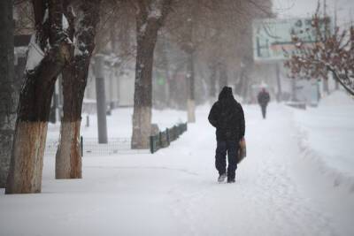 В Волгоградской области 16 января прогнозируется ветер со снегом - volg.mk.ru - Волгоградская обл.