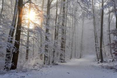 17 января в Смоленске ожидается снегопад - mk-smolensk.ru - Смоленск - Смоленская обл.
