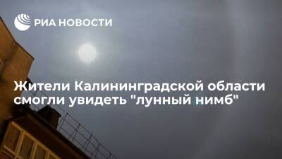 Жители Калининградской области в ночь с 15 на 16 января смогли увидеть "лунный нимб" - ria - Калининград - Калининградская обл.