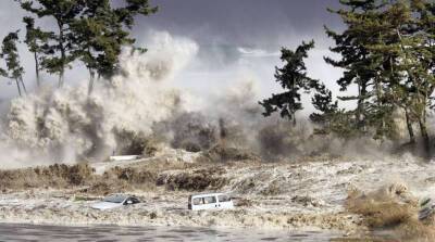 На юго-западе Японии зафиксировали цунами высотой около 1,2 м - grodnonews.by - Белоруссия - Япония - Тонга