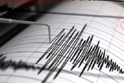 Землетрясение магнитудой 4,4 произошло в Румынии - aif - Румыния