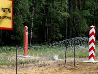 В Польше с начала года зафиксировали более 500 попыток нелегального пересечения границы из Беларуси