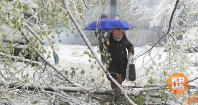 Наталка Диденко - Украину накроют мощные снегопады под аккомпанемент штормового ветра: в каких регионах испортится погода - kp.ua - Украина