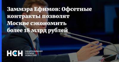Владимир Ефимов - Заммэра Ефимов: Офсетные контракты позволят Москве сэкономить более 18 млрд рублей - nsn - Москва - Россия