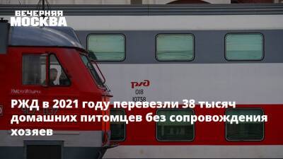 РЖД в 2021 году перевезли 38 тысяч домашних питомцев без сопровождения хозяев - vm - Москва - Санкт-Петербург - Волгоград
