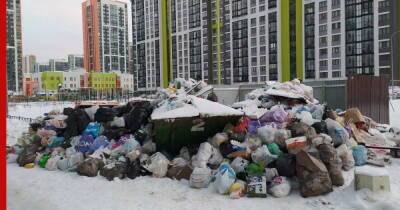 Валерий Пикалев - Власти Петербурга заявили, что ситуация с вывозом мусора стабилизируется в ближайшее время - profile.ru - Санкт-Петербург - р-н Приморский - Санкт-Петербург