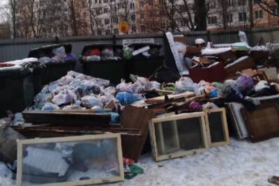 За невывезенный вовремя мусор костромичи могут получить немножко денег - kostroma.mk.ru - Кострома