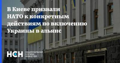 Ольга Стефанишина - В Киеве призвали НАТО к конкретным действиям по включению Украины в альянс - nsn - Украина - Киев