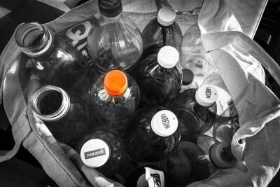 За год школьники Казани сдали на переработку 1,7 тыс кг пластиковых бутылок - kazan.mk.ru - Казань
