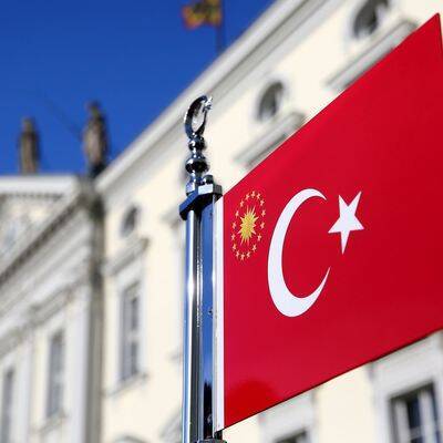 Турецкий суд оправдал германскую журналистку, ранее обвиняемую в пособничестве террористам - radiomayak - Россия - Турция - Германия