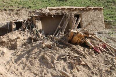 Число погибших при землетрясении в Афганистане достигло 26 - aif - Франция - Афганистан - Герат