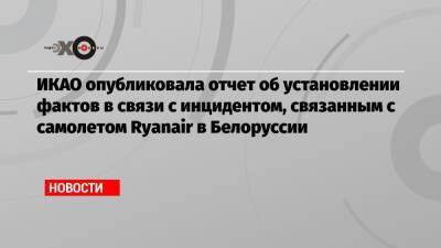 Александр Лукашенко - Роман Протасевич - Софья Сапега - ИКАО опубликовала отчет об установлении фактов в связи с инцидентом, связанным с самолетом Ryanair в Белоруссии - echo - Белоруссия