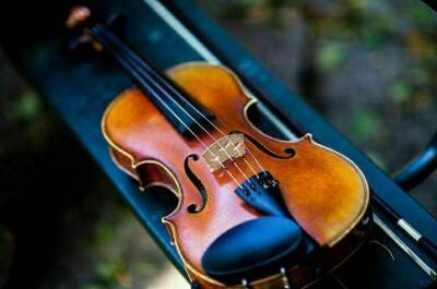 Скрипки и смычки хотят маркировать перед гастролями - pnp - Госдума