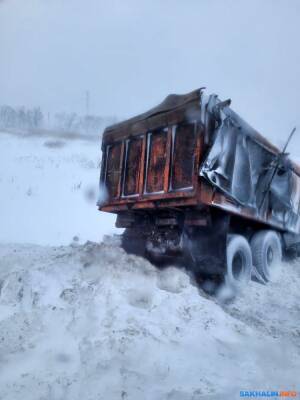 ВГК убеждает, что углевозы почти не превышали скорость в прошлом году - sakhalin.info - Экология