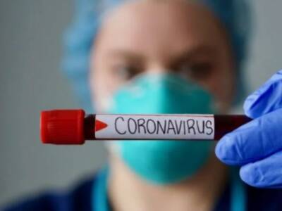 Коронавирус в мире заболело более 331 млн человек - unn.com.ua - Россия - Китай - США - Украина - Киев - Англия - Италия - Турция - Германия - Бразилия - Индия - Испания - Ухань