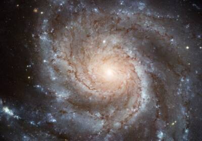 Телескоп Hubble запечатлел спиральную галактику NGC 976 с бурным прошлым - actualnews.org