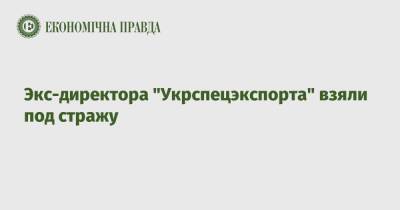 Экс-директора "Укрспецэкспорта" взяли под стражу - epravda.com.ua - Украина - Ирак