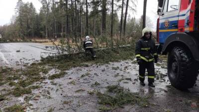 МЧС: восстановительные работы после разгула стихии продолжаются - grodnonews.by - Белоруссия