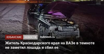 Житель Краснодарского края на ВАЗе в темноте не заметил лошадь и сбил ее - kubnews.ru - Краснодарский край - респ. Адыгея