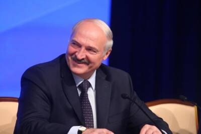 Александр Лукашенко - Президент - Лукашенко подтвердил готовность к референдуму по поправкам в конституцию в феврале - mk.ru - Белоруссия