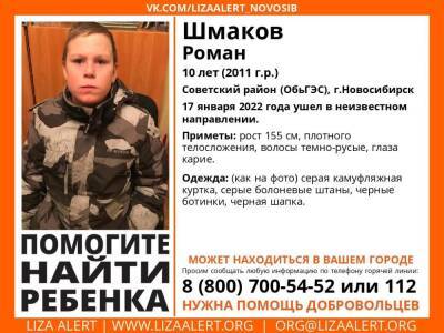 В Новосибирске пропал 10-летний мальчик - sib.fm - Новосибирск - Советск - р-н Советский