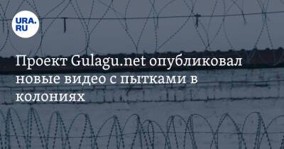 Проект Gulagu.net опубликовал новые видео с пытками в колониях - ura.news - Россия - Омск - Омская обл.