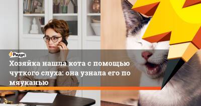 Хозяйка нашла кота с помощью чуткого слуха: она узнала его по мяуканью - ridus.ru - Англия - Эссекс