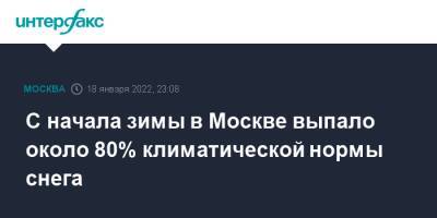 Петр Бирюков - С начала зимы в Москве выпало около 80% климатической нормы снега - interfax - Москва - Москва
