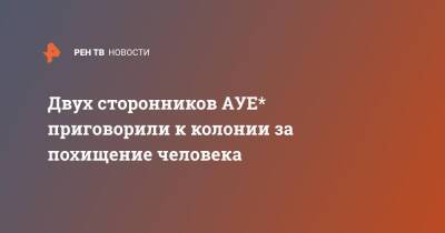 Двух сторонников АУЕ* приговорили к колонии за похищение человека - ren.tv - Россия - Ставрополье