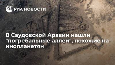 В Саудовской Аравии нашли древние "погребальные аллеи", похожие на "инопланетные" круги - ria - Москва - Австралия - Саудовская Аравия - Культура