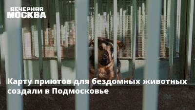 Карту приютов для бездомных животных создали в Подмосковье - vm - Москва - Московская обл.
