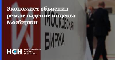 Михаил Делягин - Экономист объяснил резкое падение индекса Мосбиржи - nsn