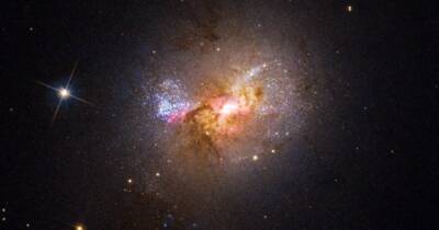 Создает собственные звезды. Телескоп Хаббл обнаружил очень необычную черную дыру - focus.ua - США - Украина - штат Монтана