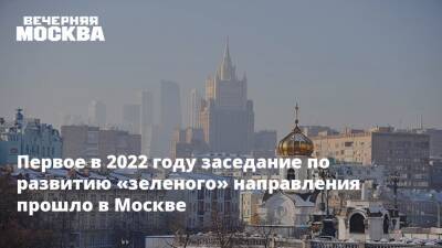 Первое в 2022 году заседание по развитию «зеленого» направления прошло в Москве - vm - Москва - Россия - Экология