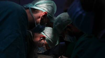 Американские врачи впервые в мире пересадили человеку две почки свиньи - belta.by - США - Белоруссия - Минск