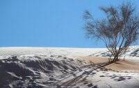 В Сахаре выпал снег: в чем причина редкого явления - vlasti.net