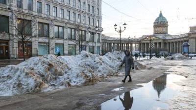 Олег Зотов - Власти Петербурга объяснили проблемы с уборкой снега нехваткой 10 тысяч дворников - mir24.tv - Санкт-Петербург