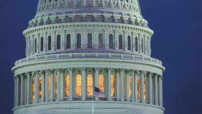 Джин Шахин - Американский сенатор Шахин представила законопроект о ленд-лизе для Украины - russian - Россия - США - Украина