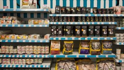Хозяева в панике: Почему из магазинов исчез импортный корм для питомцев - 5-tv.ru - Россия