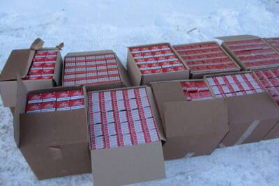 Philip Morris - Поддельные сигареты на 5 миллионов рублей обнаружили на складах в Петрозаводске - karel.mk.ru - Белоруссия - Петрозаводск