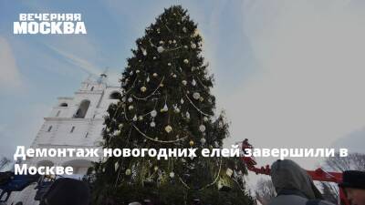 Демонтаж новогодних елей завершили в Москве - vm - Москва - Москва