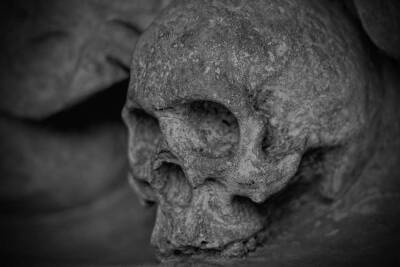 Археологи обнаружили в Палестине украшенные асфальтом черепа - actualnews.org - Палестина - Культура