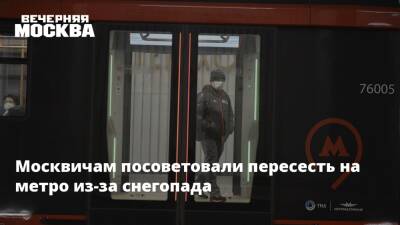 Москвичам посоветовали пересесть на метро из-за снегопада - vm - Москва - Москва