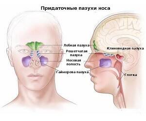 Как избавиться от заложенности носа быстро и без лекарств - goodnews.ua