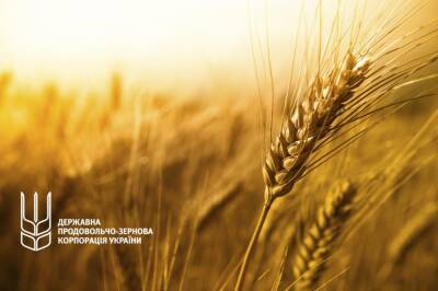 Государственная зерновая корпорация входит в дефолт, миллиард долларов будут платить из бюджета - epravda.com.ua - Китай - Украина