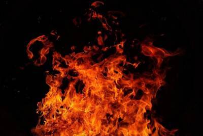 5 техногенных пожаров произошло в Тульской области за минувшие сутки - tula.mk.ru - Тула - Новомосковск - Тульская обл.